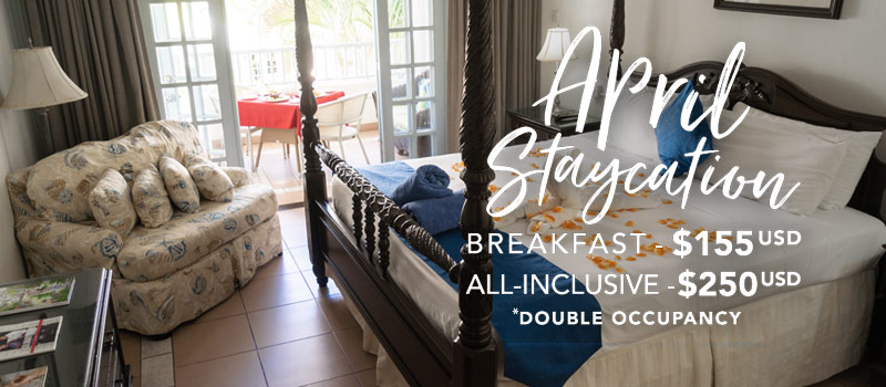 Staycation Specials